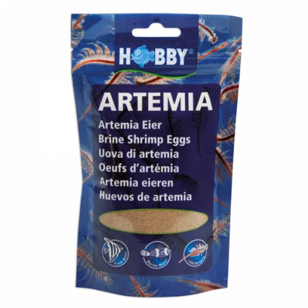 Artemia Eier